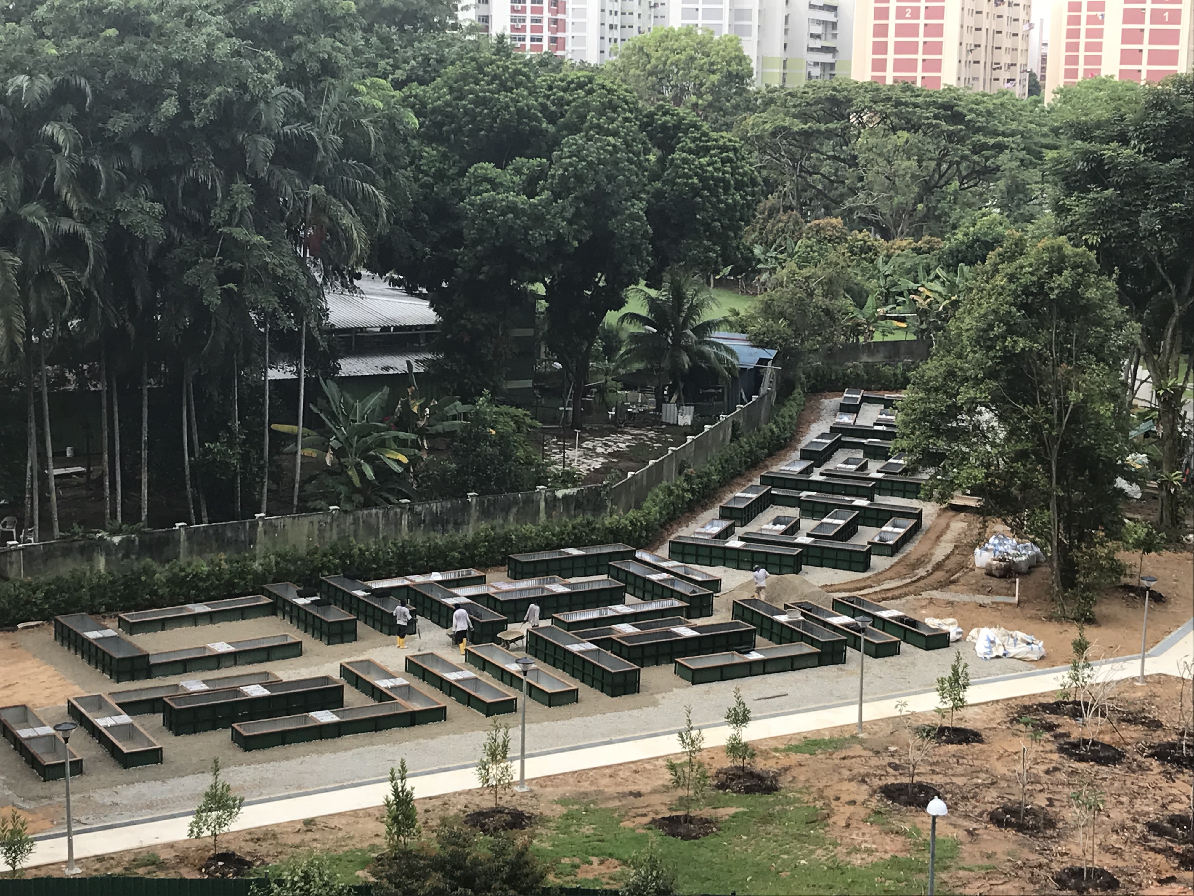 Allotment Gardens at Punggol Park
