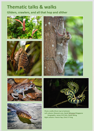 Guided Walk At Rifle Range Nature Park What s On Activities 