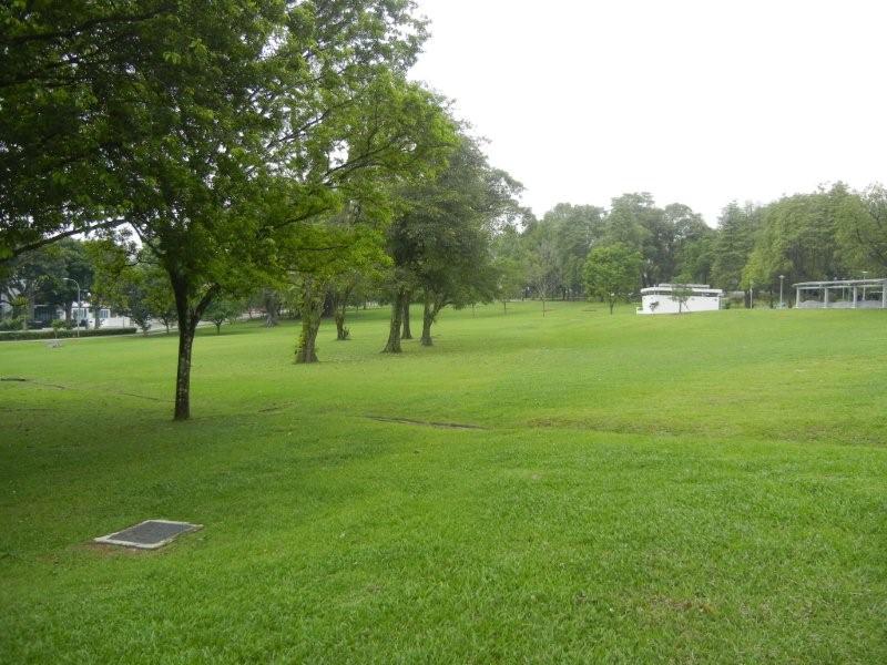 Lawn