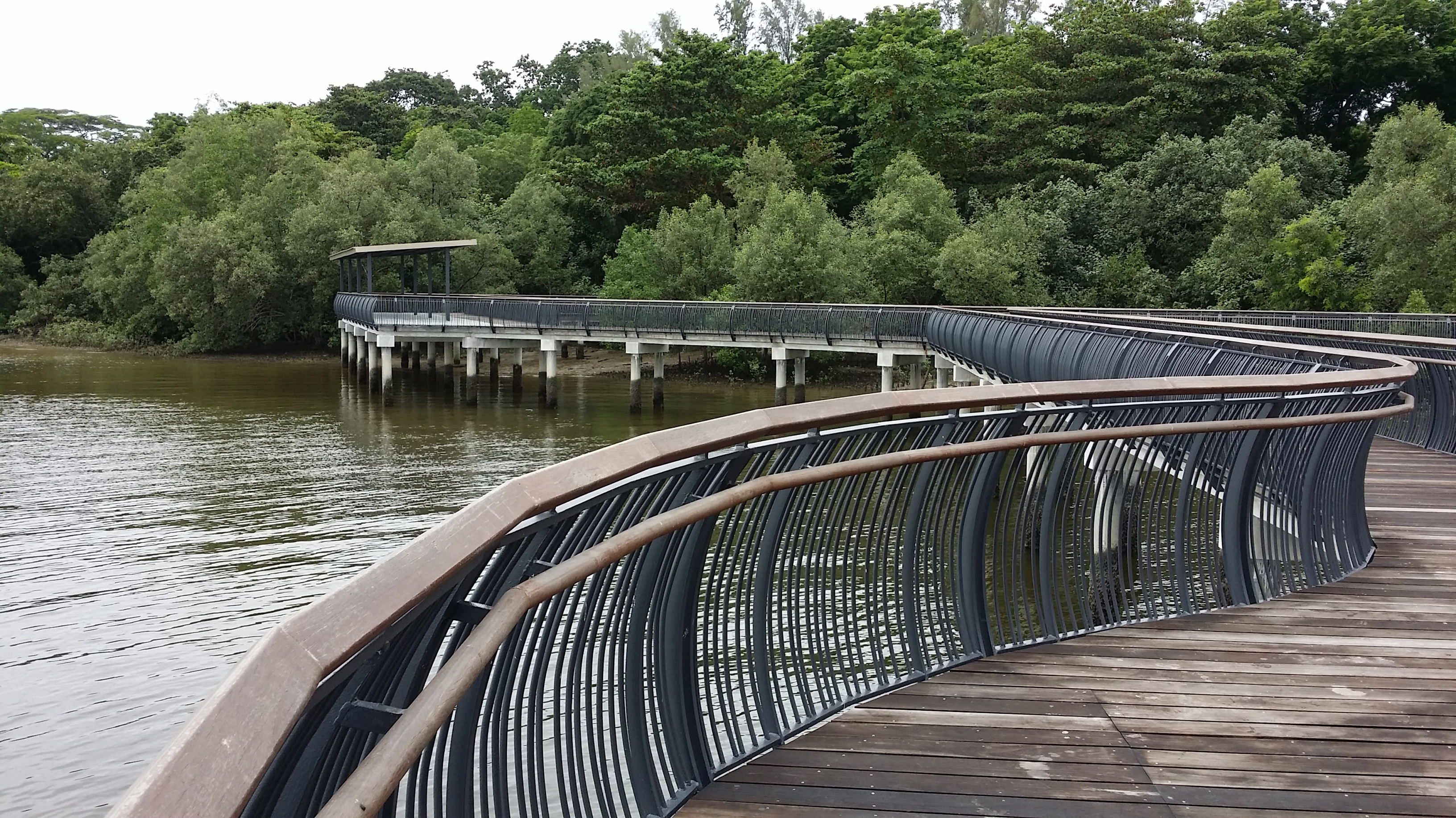 Sungei Buloh Wetland Reserve - Parks & Nature Reserves - Gardens, Parks &  Nature - National Parks Board (NParks)