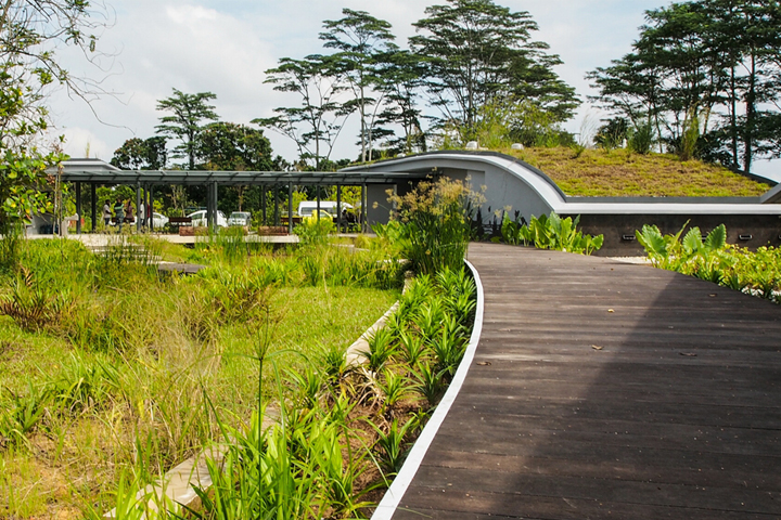 Discover the Beauty of Kranji Marshes Park: SGs Bird Watching Paradise