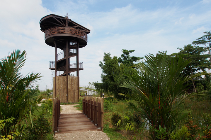 Family Guide to Visiting Kranji Marshes: An Unforgettable Journey into Nature