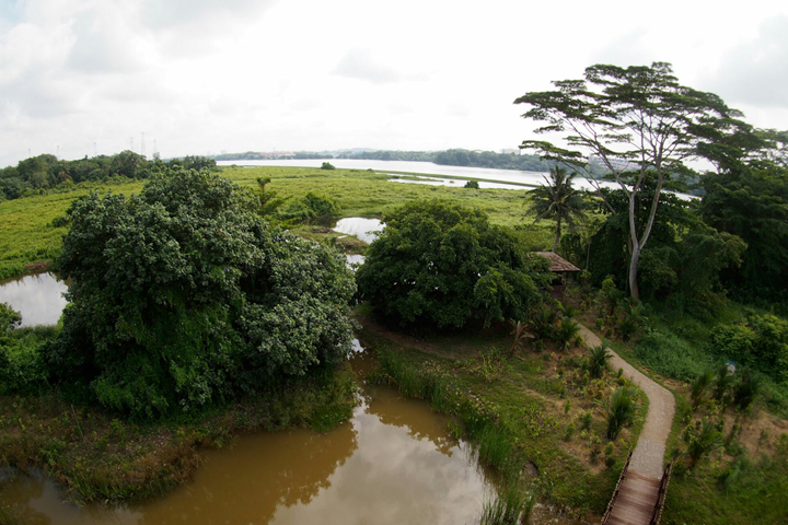 Family Guide to Visiting Kranji Marshes: An Unforgettable Journey into Nature