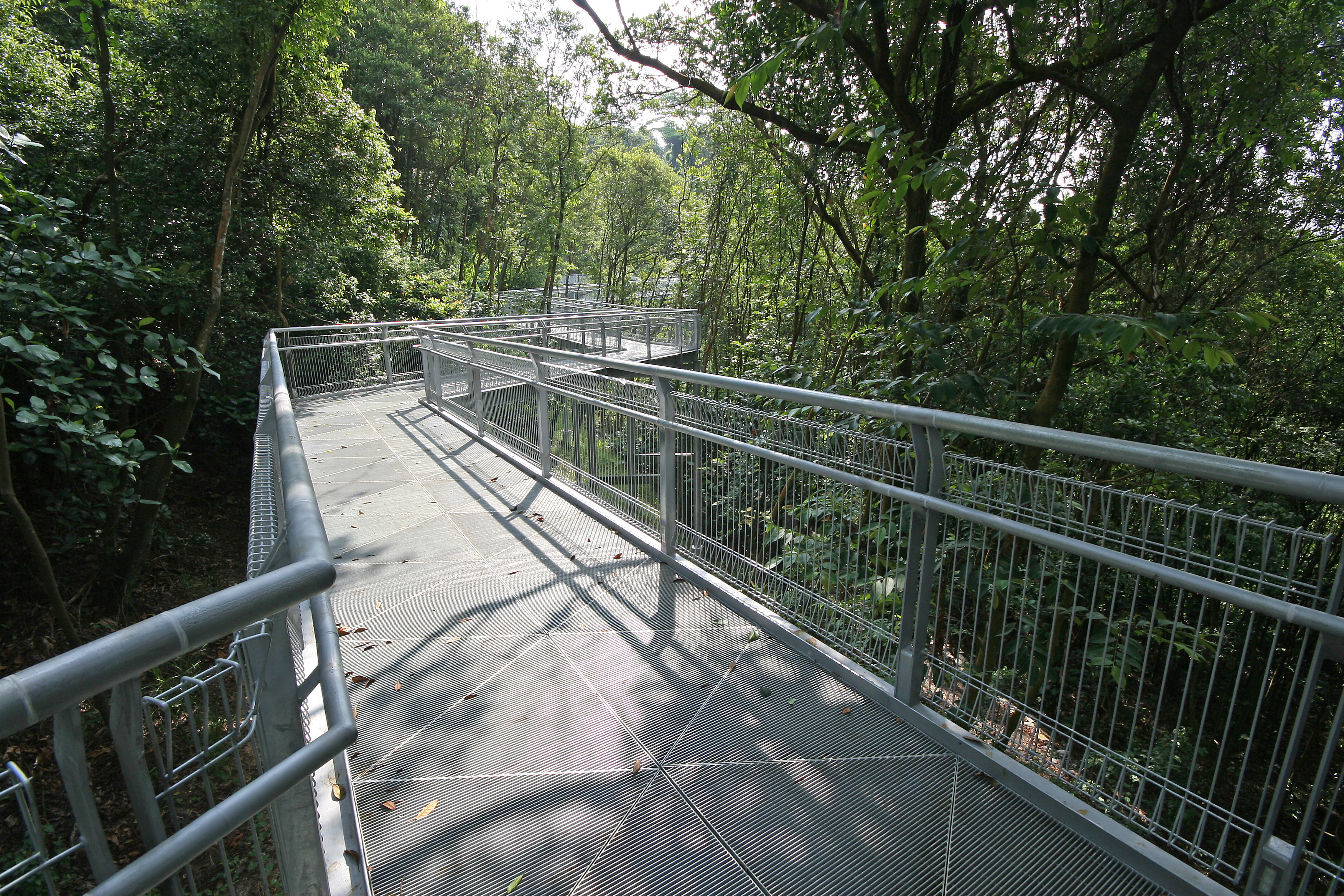 telok-blangah-hill-park--forest-walk.jpg