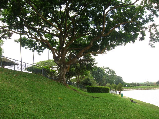 Best 10 Picnic Spots in Singapore