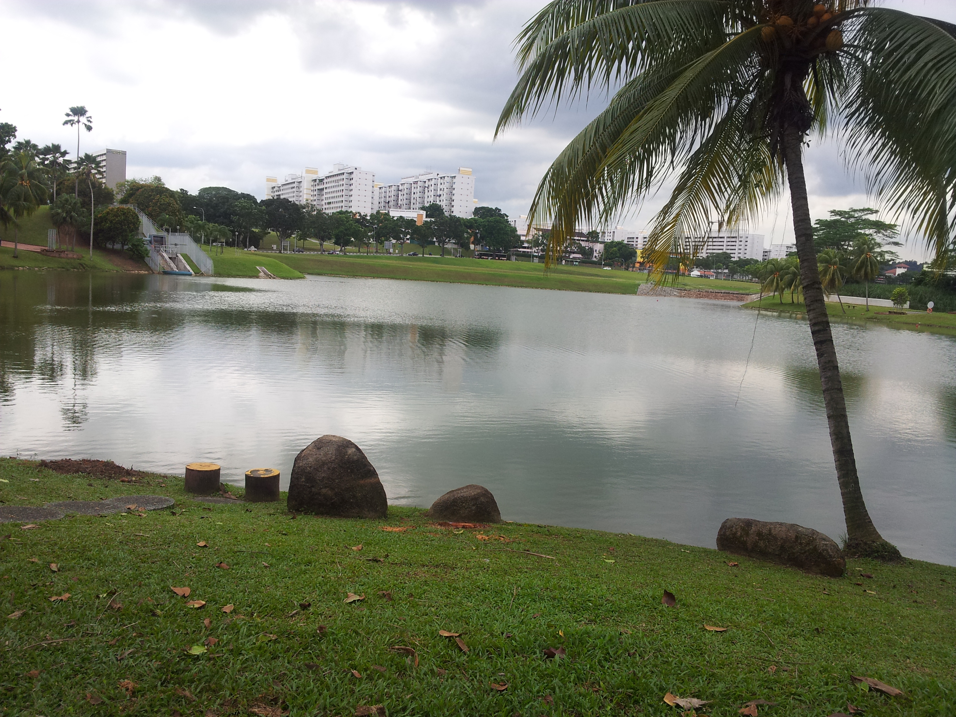 Woodlands Town Garden pond