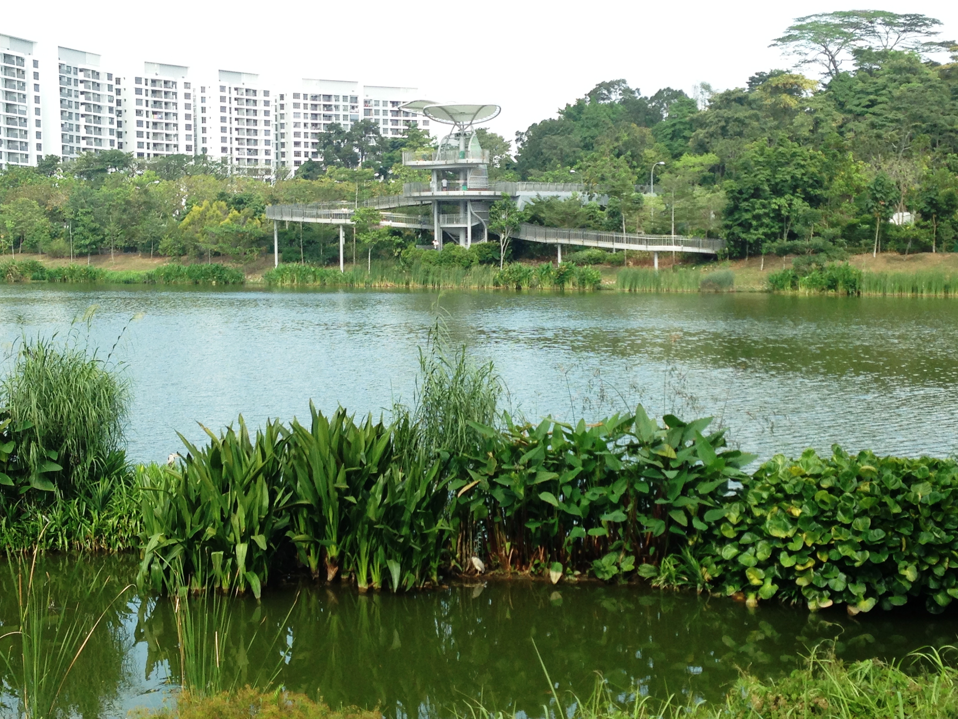 Yishun Pond Park