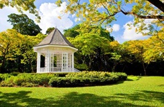 Singapore Botanic Gardens - Parks & Nature Reserves - Gardens, Parks &  Nature - National Parks Board (NParks)