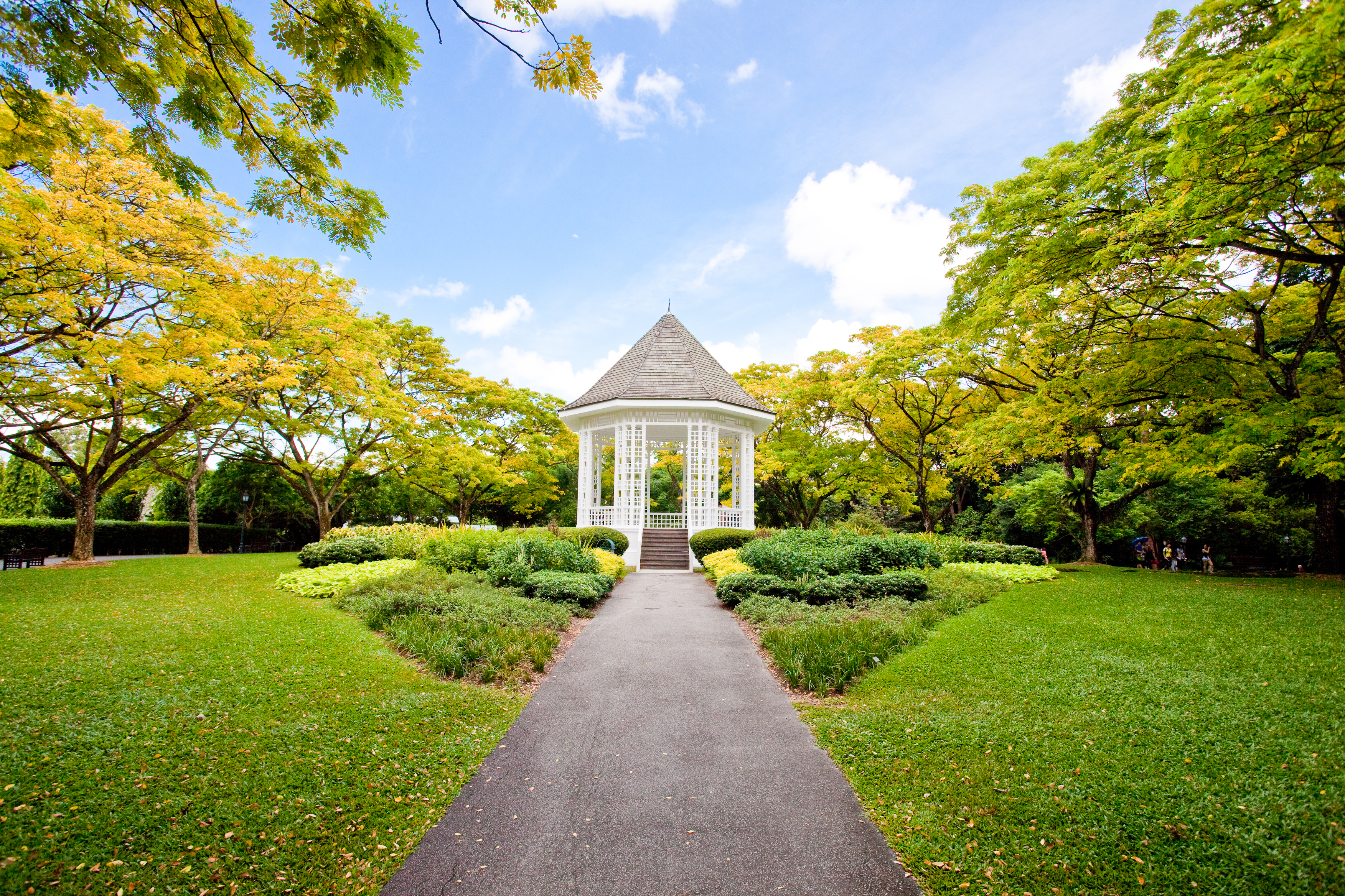 Singapore Botanic Gardens - Parks & Nature Reserves - Gardens, Parks & Nature - National Parks Board (NParks)