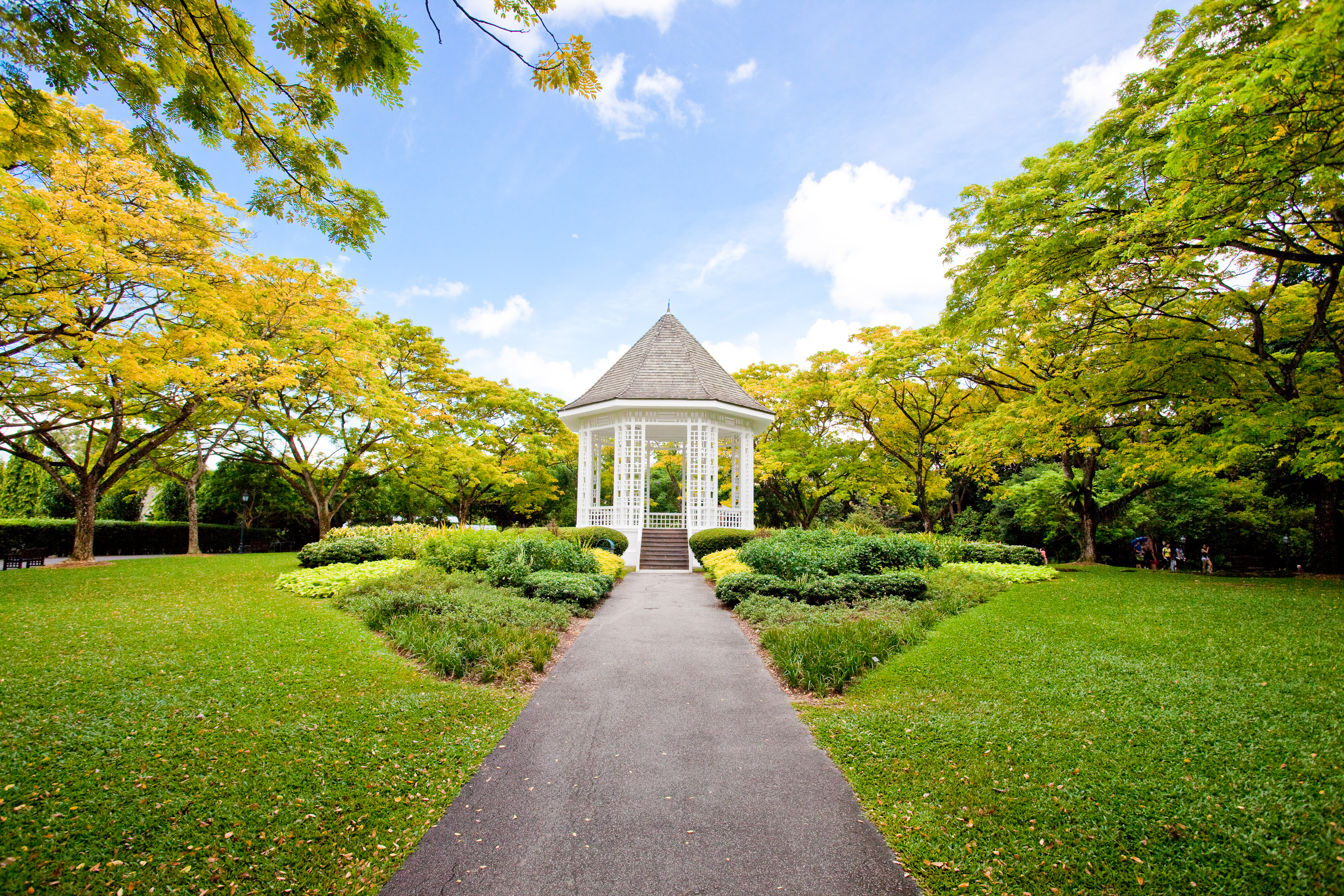 Singapore Botanic Gardens - Parks & Nature Reserves - Gardens, Parks &  Nature - National Parks Board (NParks)
