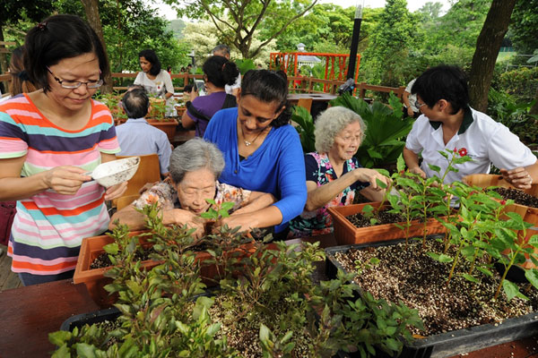 Therapeutic Horticulture Programme