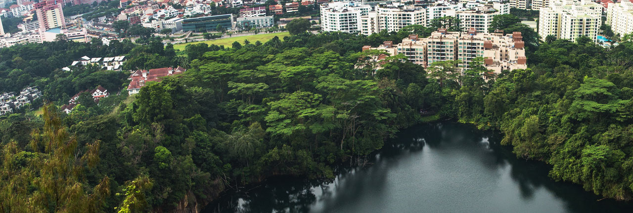 Thomson Nature Park