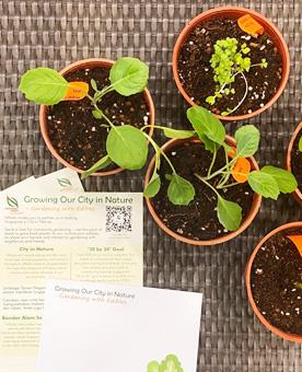 Gardening with Edibles