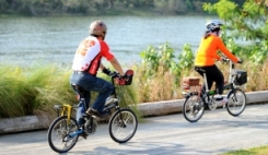 Cycling on the park connector
