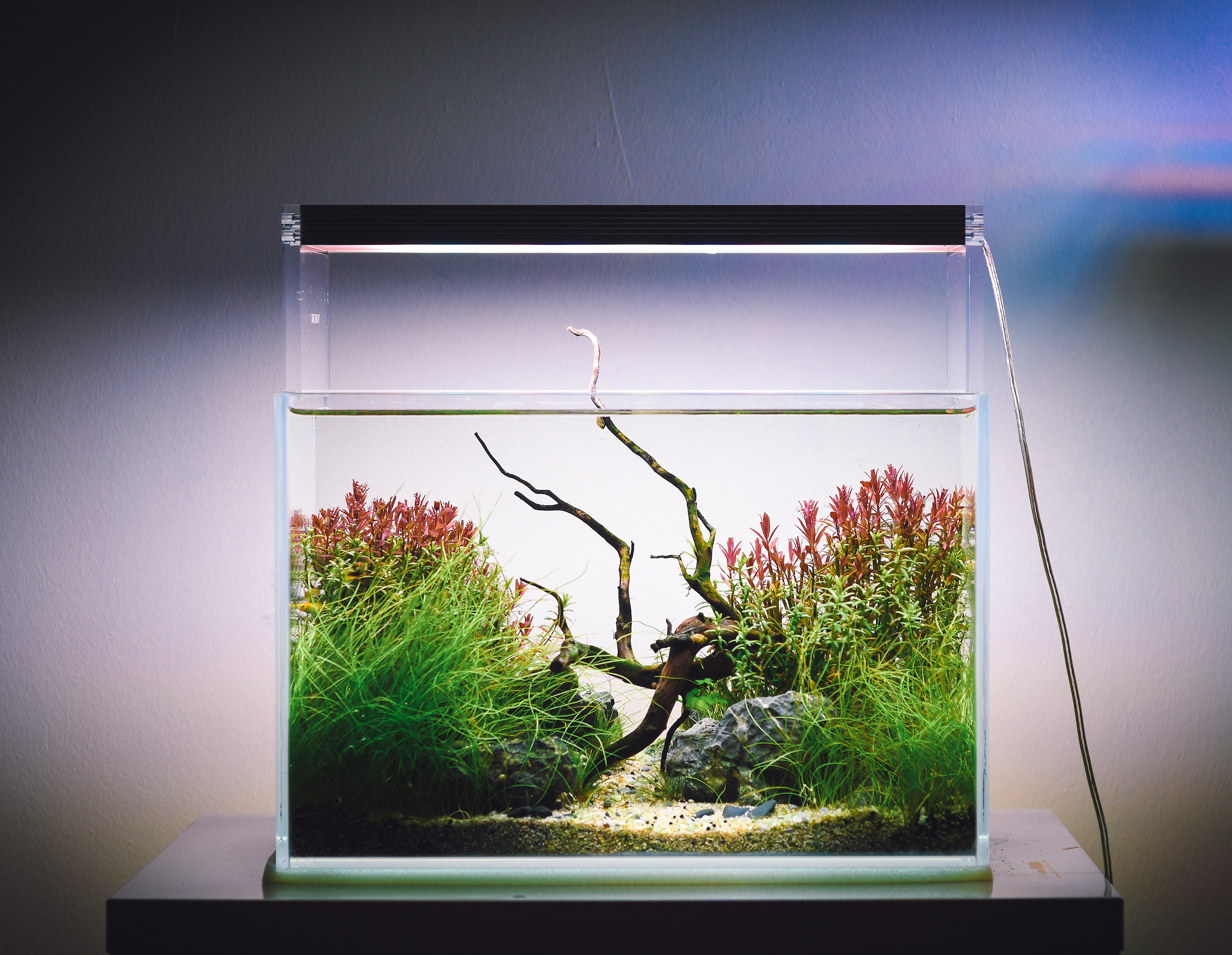 JLG Aquascaping