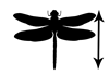 odonate