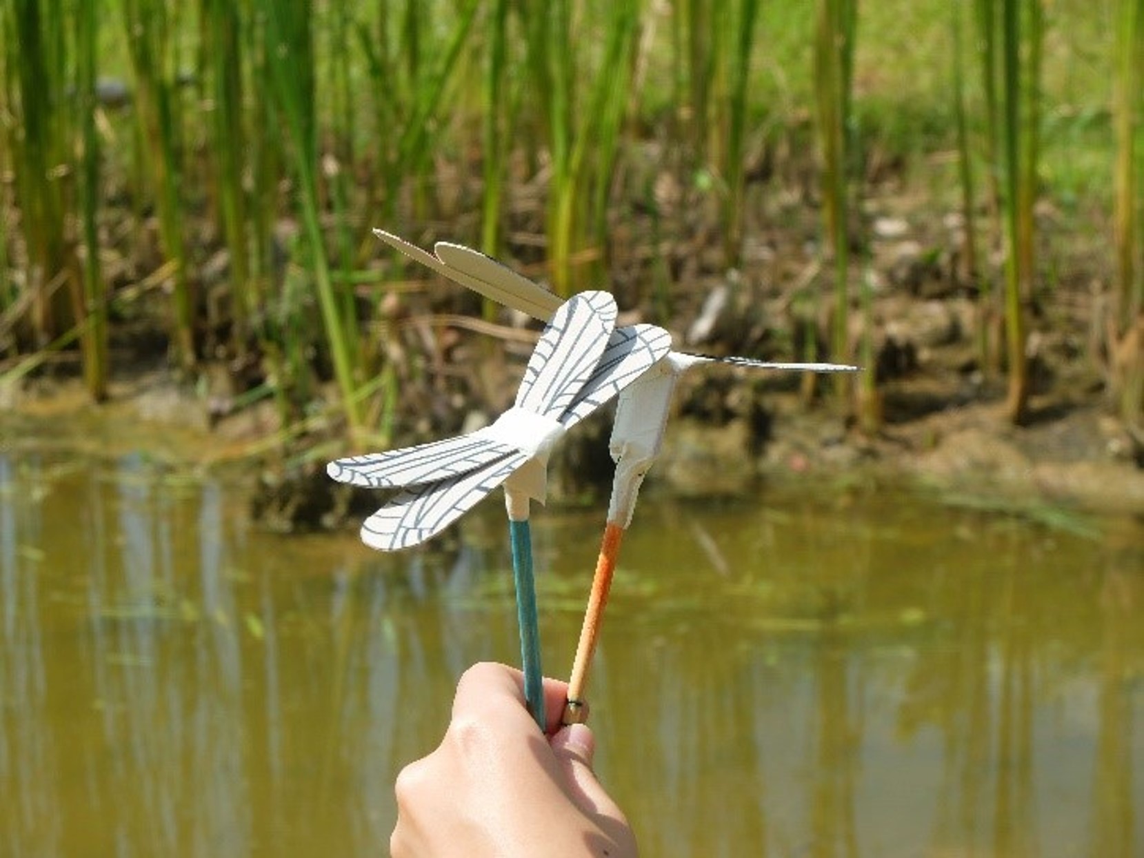 Dragonfly Propeller