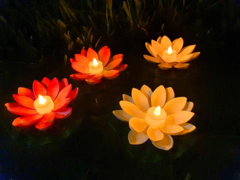waterlanternFOL