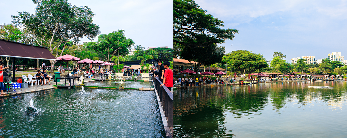 D'Best Fishing Pasir Ris Town Park