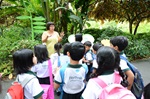 Do your own guided walk