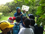 Guided walk