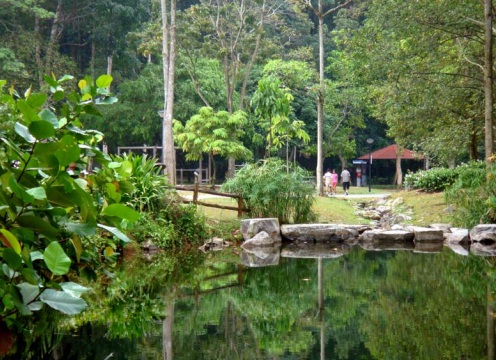 bbnp