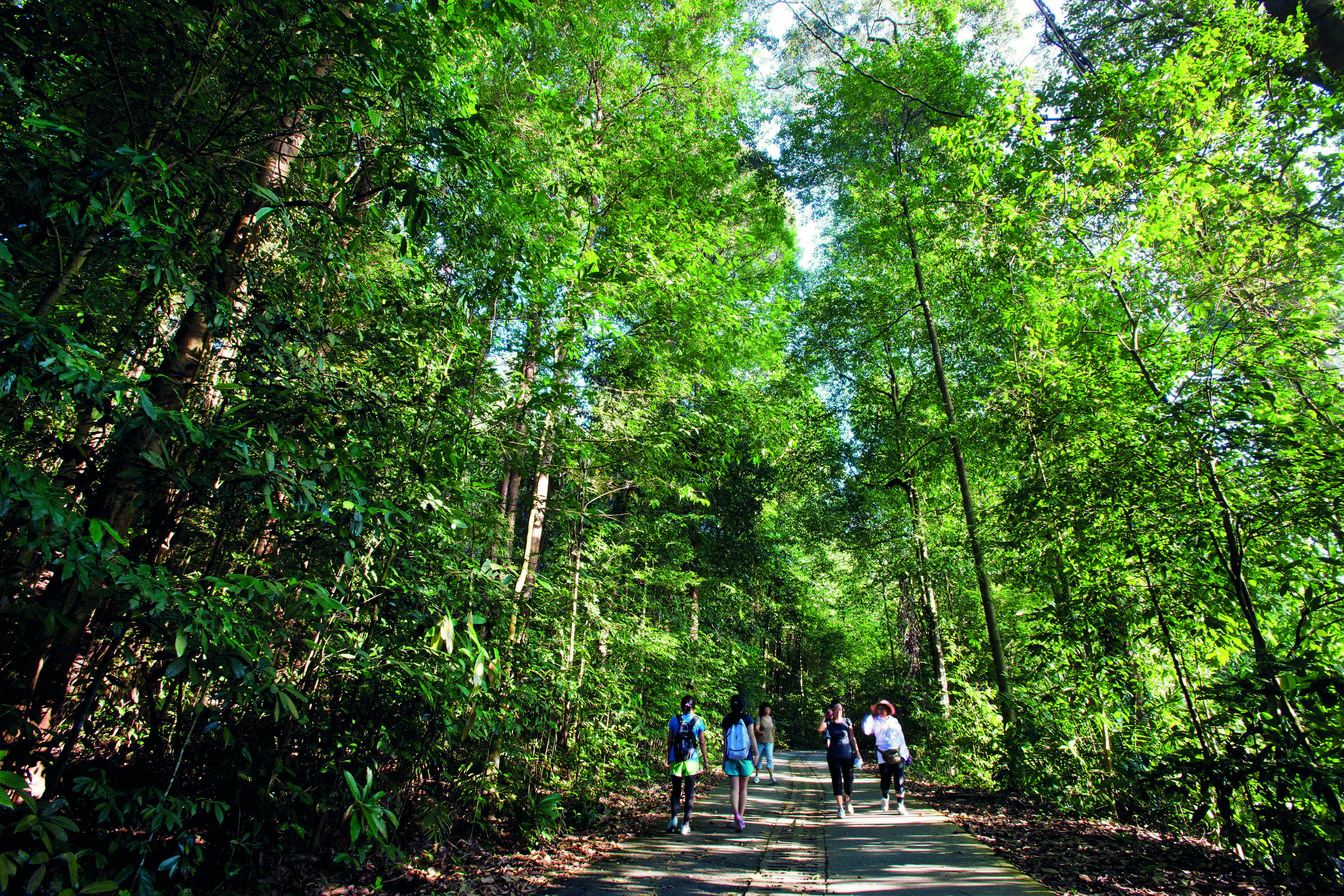bbnp