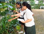 Biodiversity Week for Schools