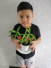 Saifullah 10th