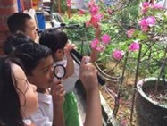 preschool resources