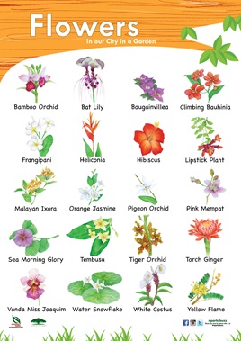 preschool online resources