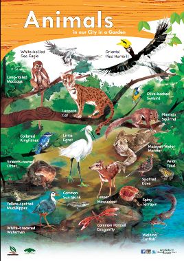 Preschool Resources