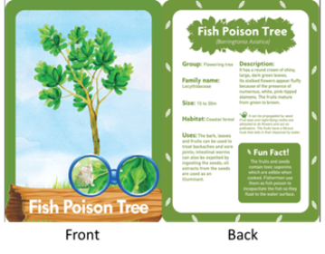 Preschool resources