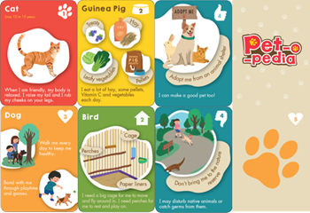 Multifunctional edu cards (full)