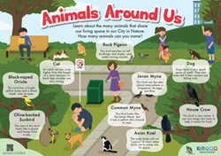 Poster-animals around us