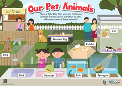 Poster-our pet animals