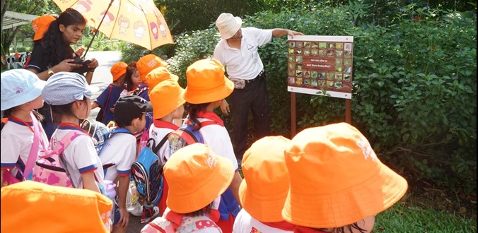 Preschool resources
