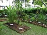 School Gardens