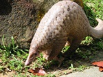 Animal Encounters