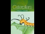 Recommended Books