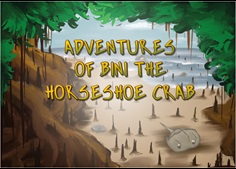 Bini the horseshoe crab