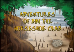 Bini the horseshoe crab