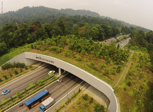 Aerial photo of EcoLink