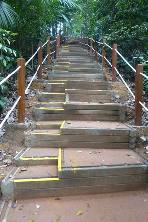 Trail repairs at Summit Path steps have two different heights to cater to various needs of visitors