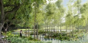 Nature, greenery and lakeside views