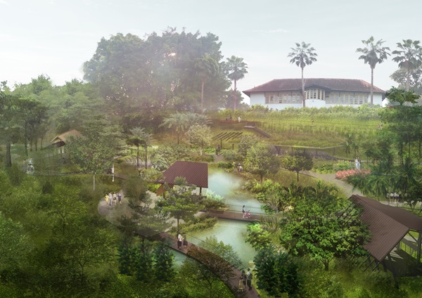 Artist’s impression of Ethnobotany Garden