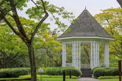 Singapore Botanic Gardens’ Heritage Secrets