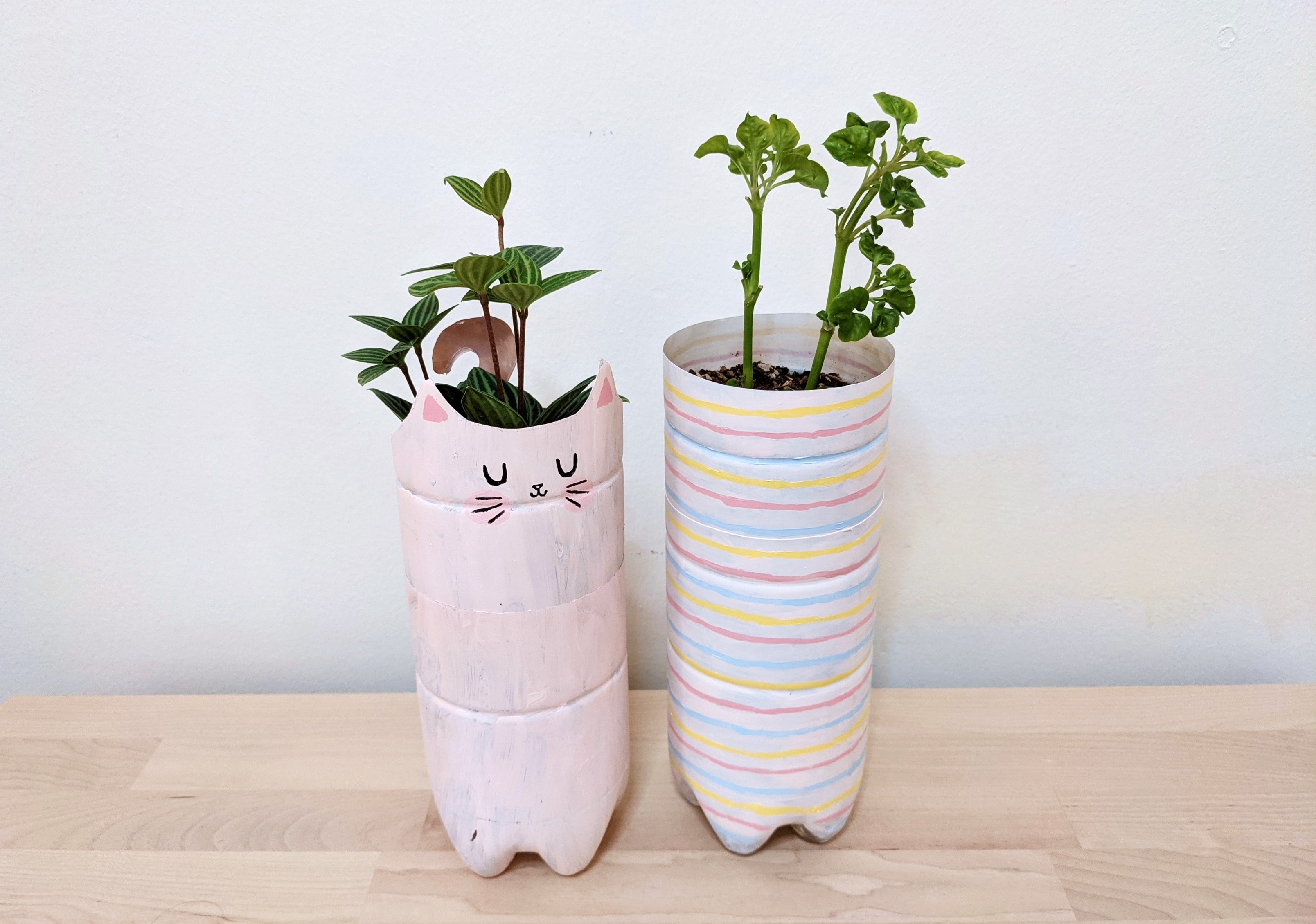 Make Your Own Upcycled Self-Watering Planter