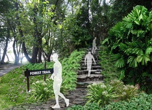forest trail