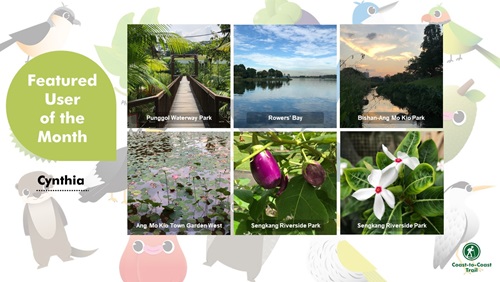featured user cynthia